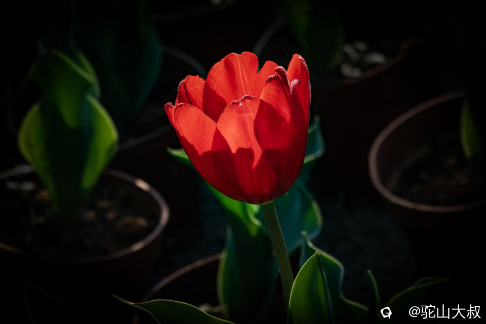 DSC05209-0 - 副本.jpg