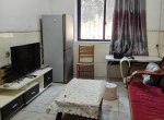 ��Զ�Ÿ�����ɽС��40��