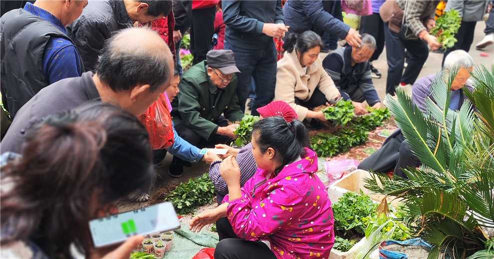 赶圩了，赶大面圩克 ！三月的圩嫩嫩绿绿