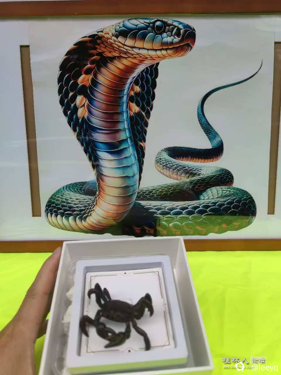 微信图片_20241018193929.jpg