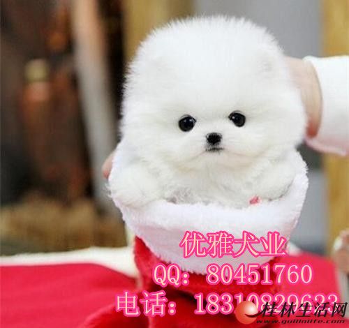 	 �������岩�����ɰ�Сë�� ��Ȯ����