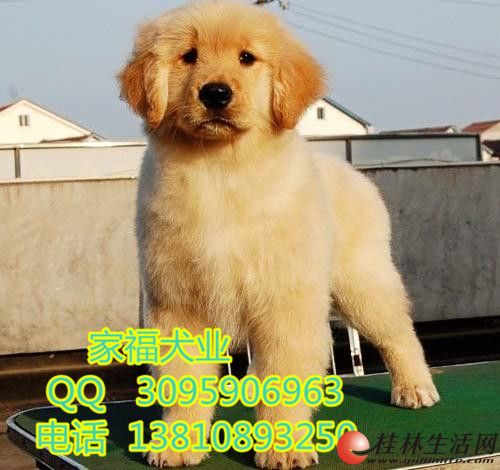 ���ֽ�ë ��ϵ��ͷ��ë ������ë �����Ҹ�Ȯҵֱ��