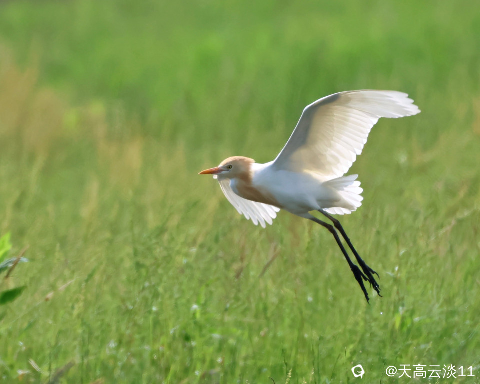5D2A5806_副本.jpg