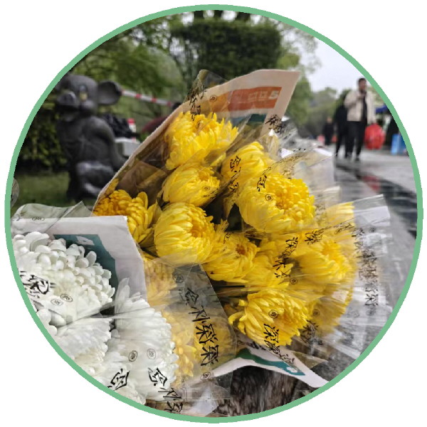 移风易俗倡文明 生态陵园寄哀思