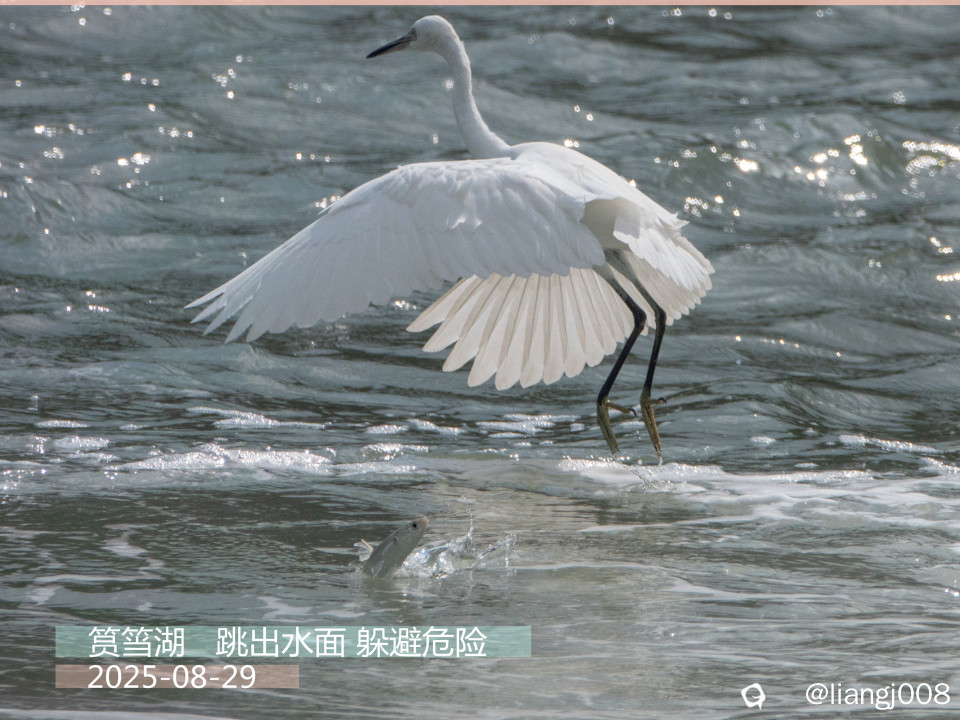 DSC00688_副本.jpg