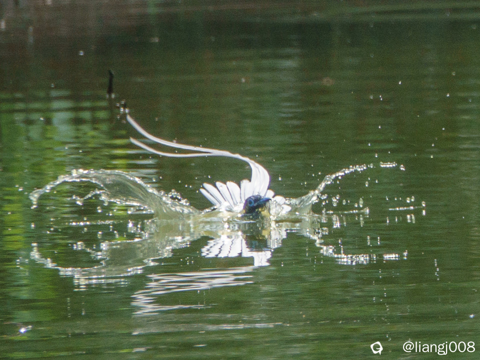 DSC07307_副本_副本.jpg