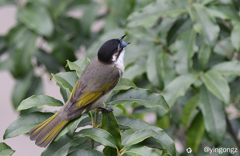 DSC_9079_副本.jpg