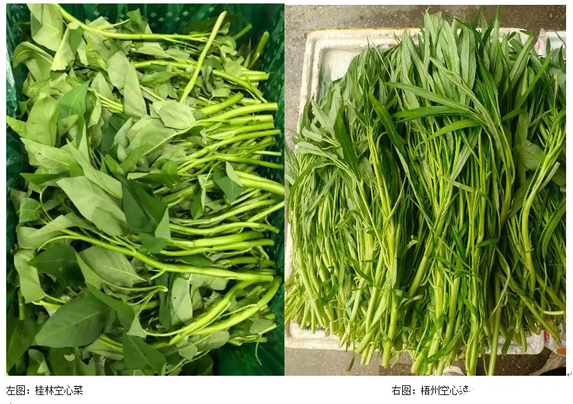 QQ截图20260723141220.png