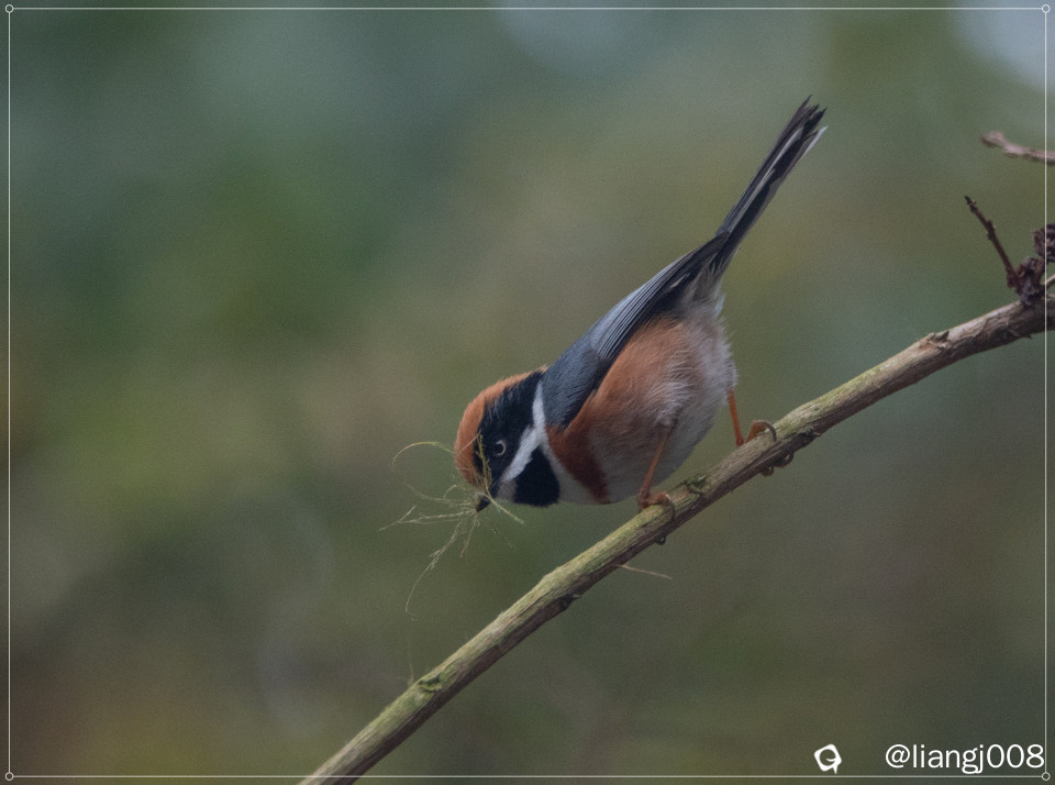 DSC070421_副本.jpg