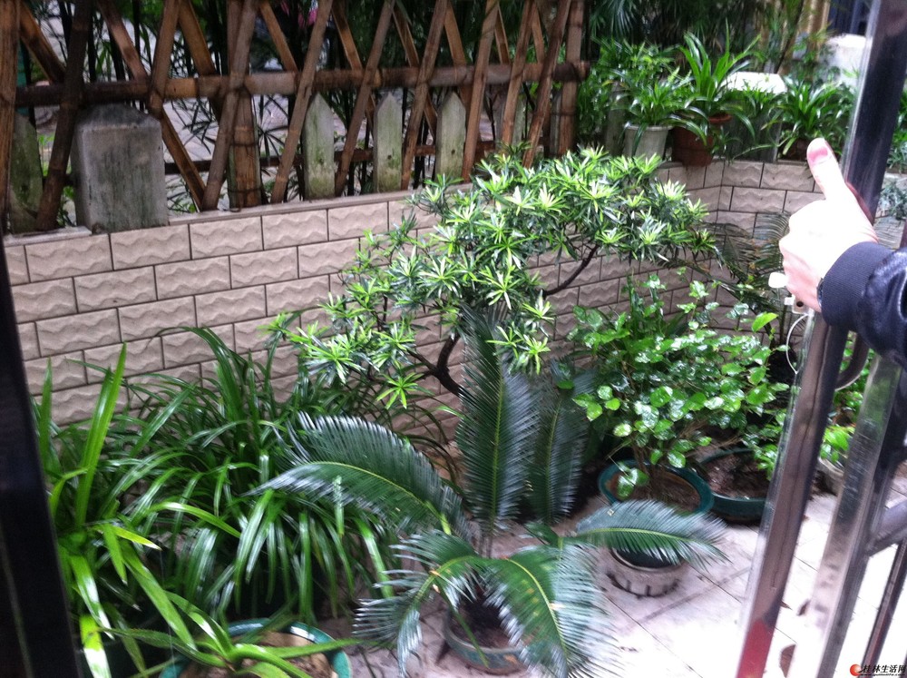 J ���޼��� ��5 Ψһ ������ 1¥��ʽ ��װ��125ƽ��