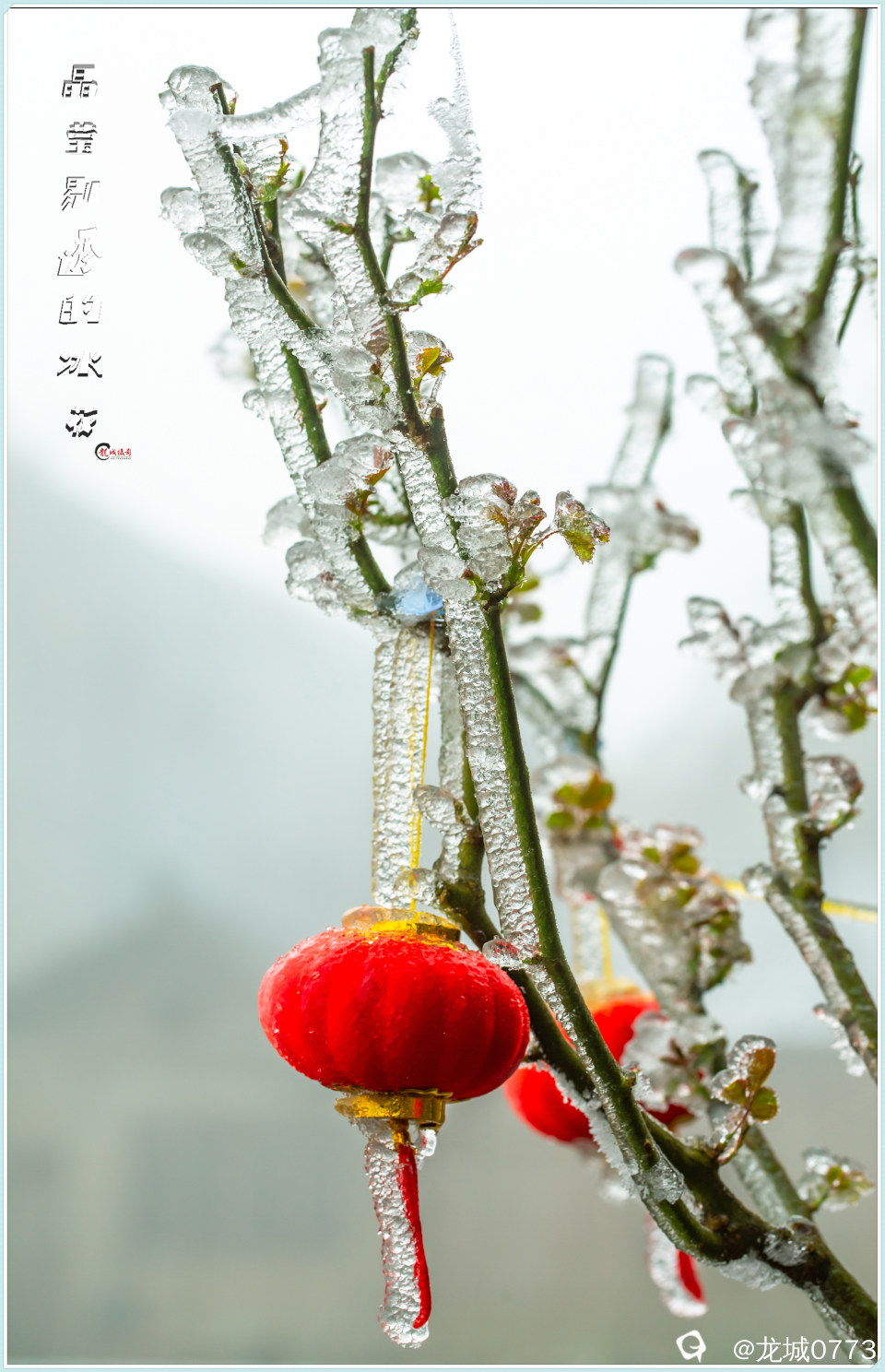 1X4A2632-pp.jpg