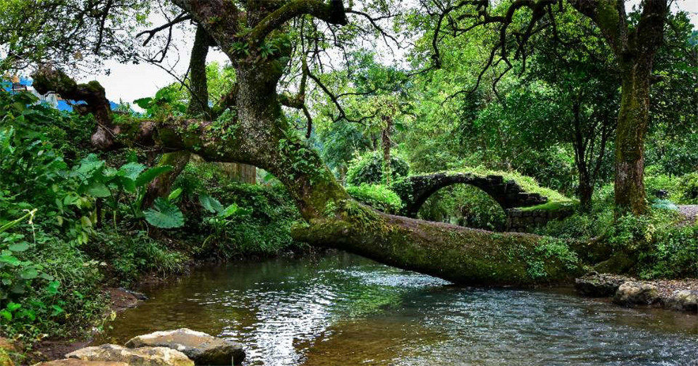 恭城栗木老氹村