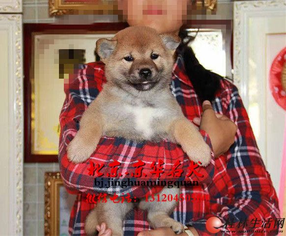 ���ֲ�Ȯ��������ѡ С��Ȯ�����ձ���Ȯ��Ȯ����