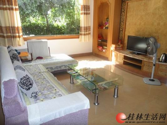 ���Ǳ��� 5��3��3�� 262�O ���� 198��