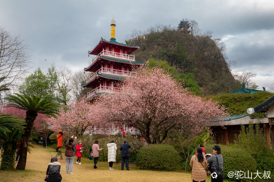 DSC05560-0_副本1.jpg