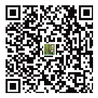 清明：万物清朗 春和景明