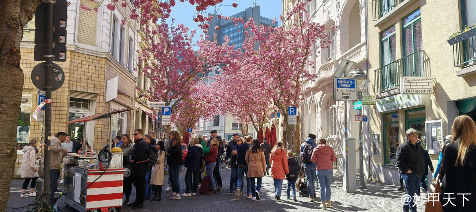 IMG20250406131009 (2).jpg