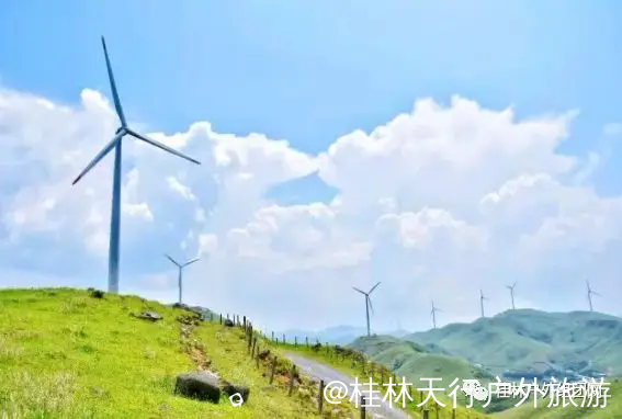 640.webp (3).png