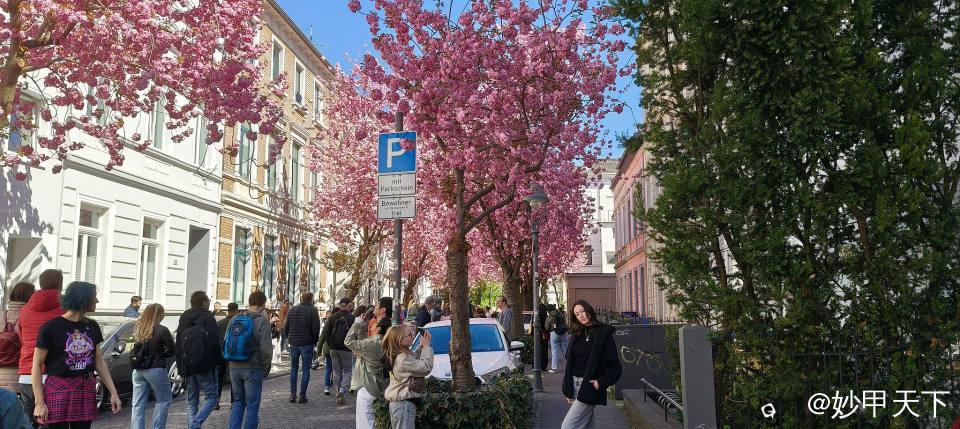 IMG20250406132003 (2).jpg