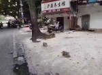 �����������淿2��2��68ƽ���ֳ����м������⣡ÿ��2100Ԫ�̶�����