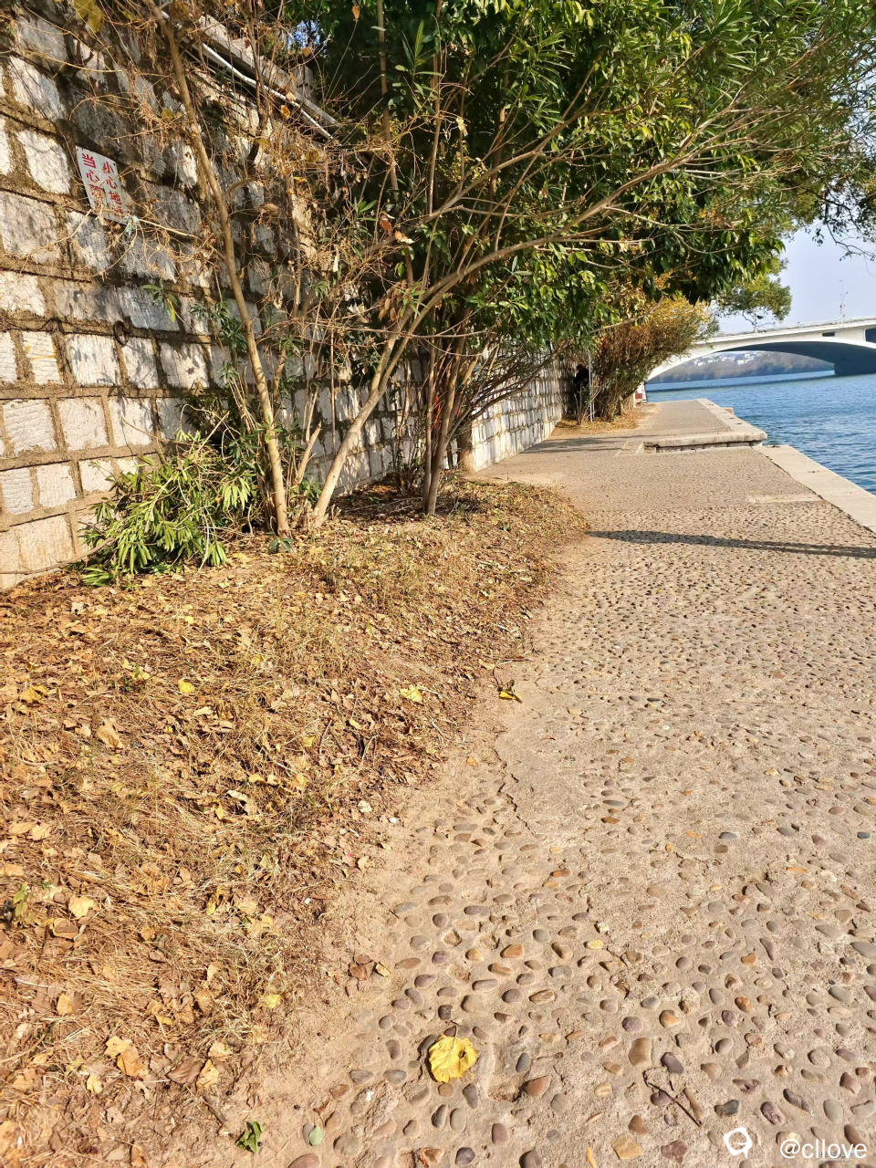 这。。。。。。