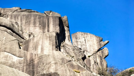 黄山鳌鱼戏虾：抬头星斗近，摆尾海天殊