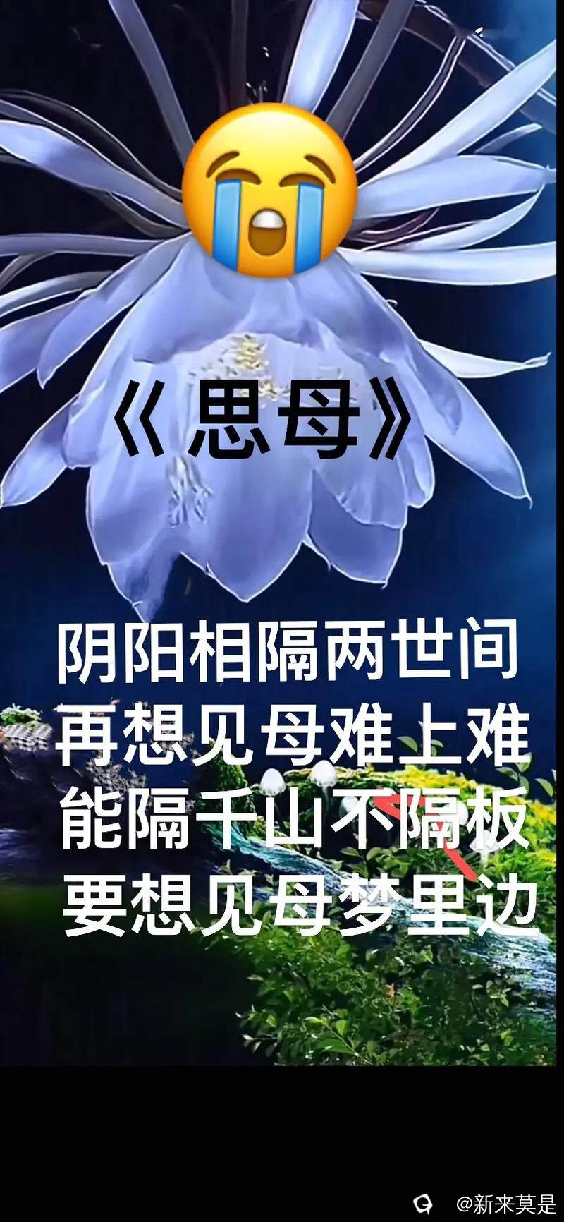 u=4030842097,1622725410&fm=253&app=138&f=JPEG.jpg