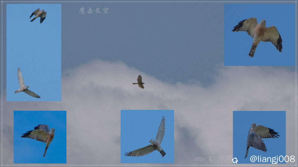 DSC01204_副本.jpg