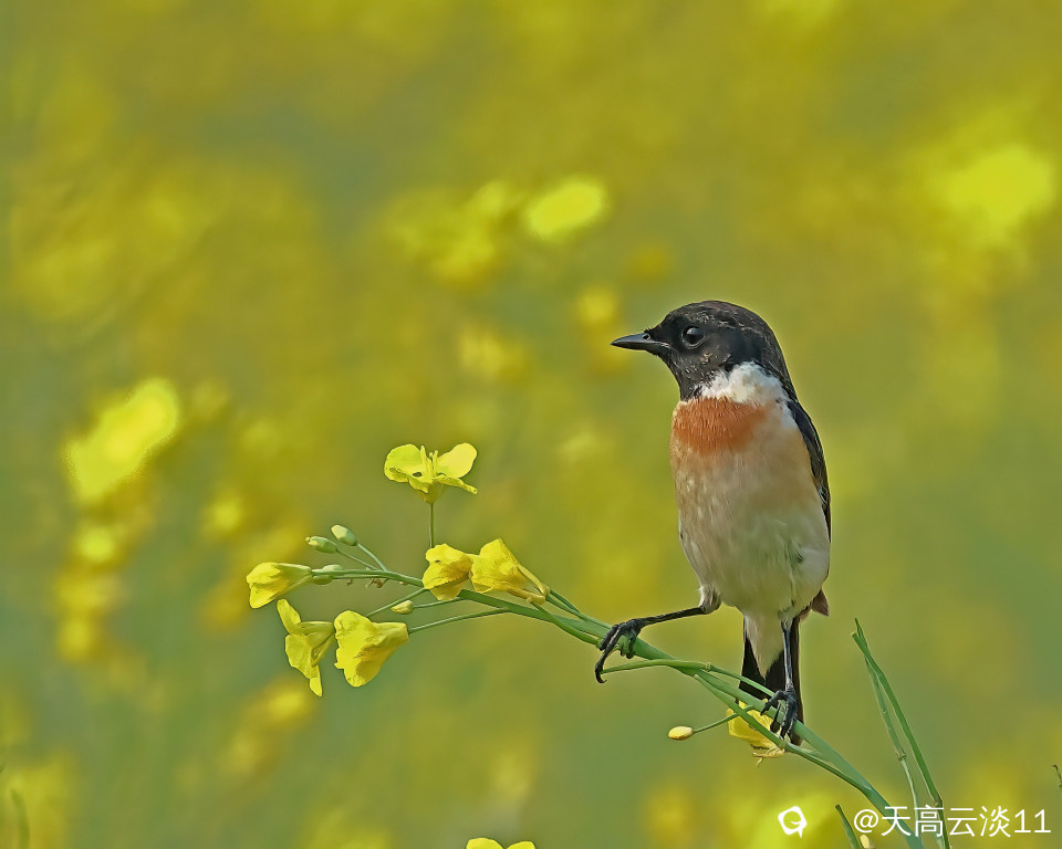 5D2A4716-DeNoiseAI-clear.jpg