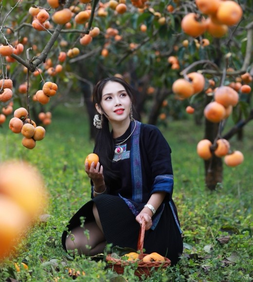 故乡的山里红～平乐粉岩的柿子红啦