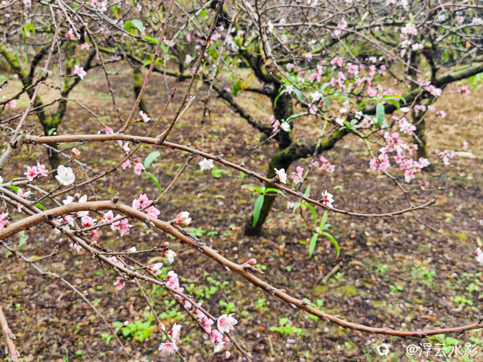 IMG_20251108_114628-102 [最大宽度 2400 最大高度 1800].jpg