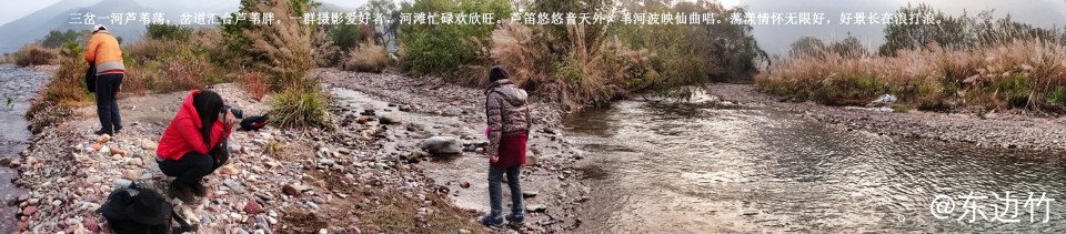 570_副本_副本.jpg