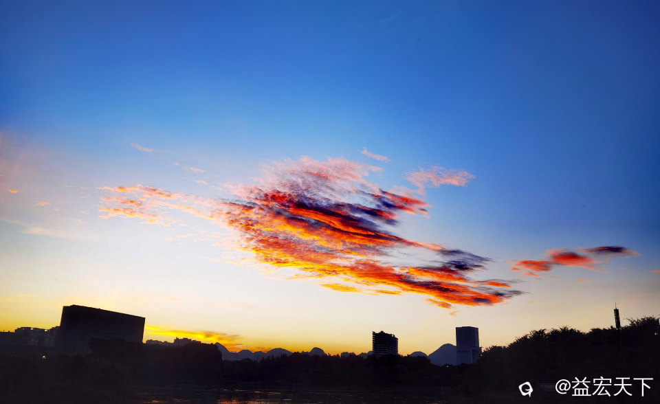 鱼跃水天