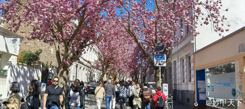 IMG20250406131346 (2).jpg