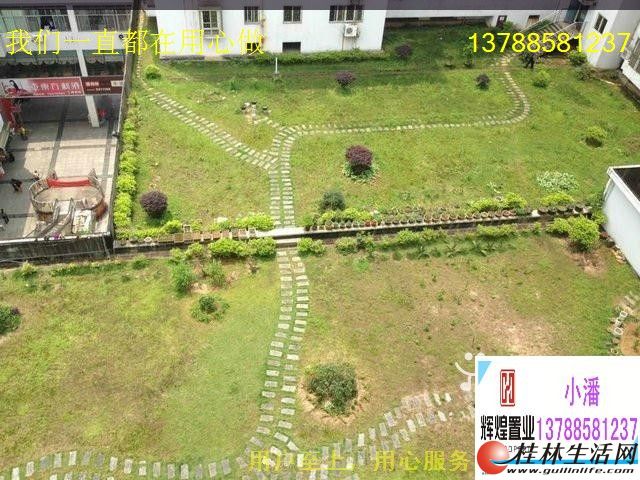 A6600���ۼ����¹㳡����չ���﹫԰������3��137�O