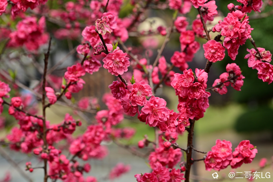 EGD_9283_副本.jpg