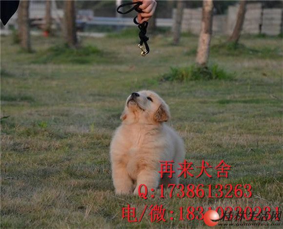 ���ֽ�ëȮ�۸� ����������ë��Ȯ ��Ҷϵ��ëȮ ����ǩЭ��