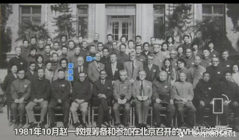 80年代WHO抗疟疾会议