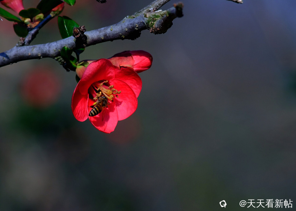 DSCF2283_副本.jpg