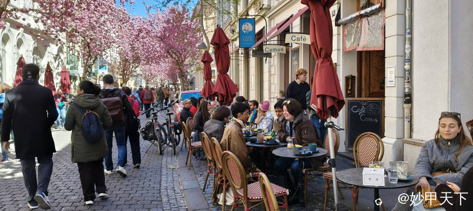 IMG20250406130628 (2).jpg