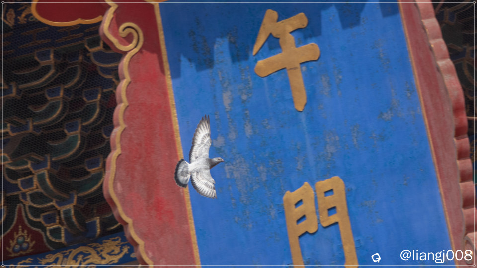 DSC07930_副本_副本.jpg