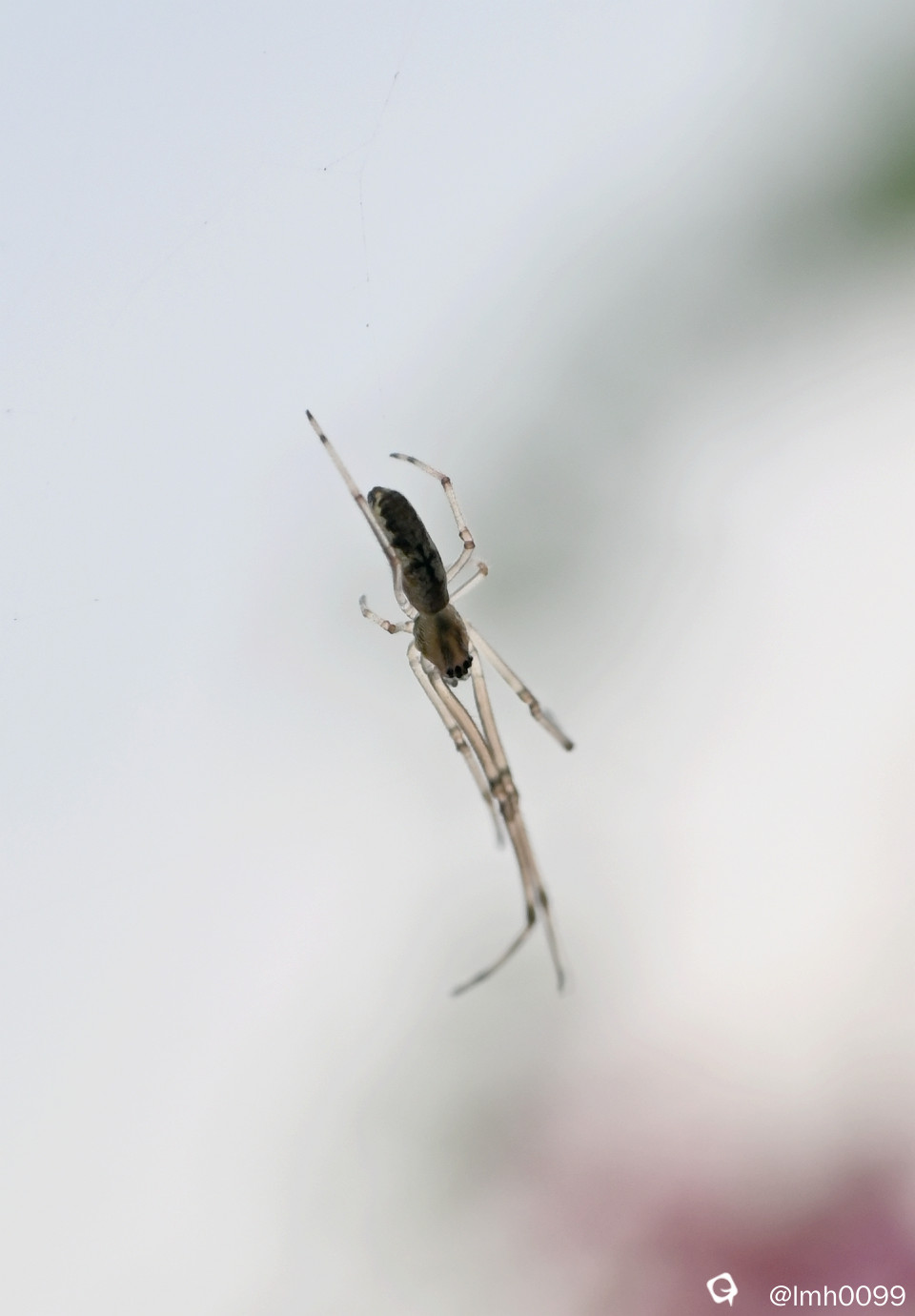 DSC_8051_副本.jpg