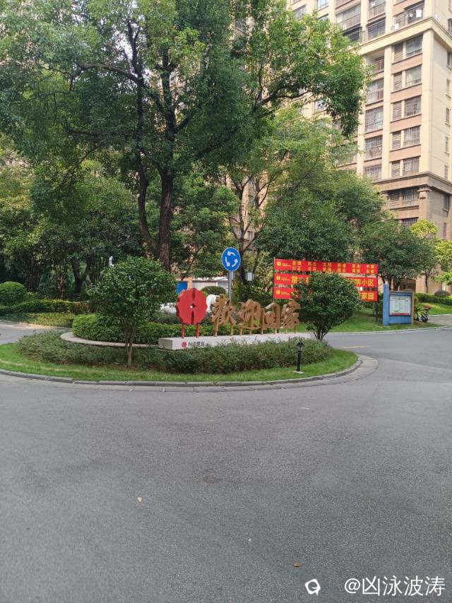 47948539-93af-6a25-f498-538a9da5bcb8.jpg