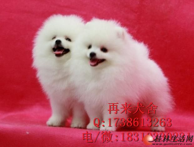 ���������岩����Ȯ��ӭ������ѡ
