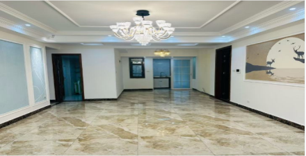 彰泰春天楼王精装四房两厅大平层加车位急售