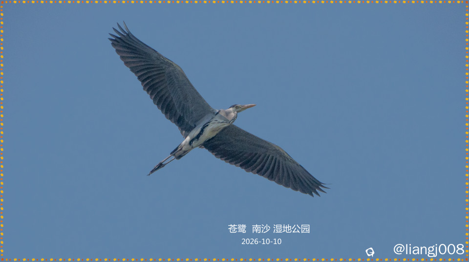 DSC01547_副本.jpg