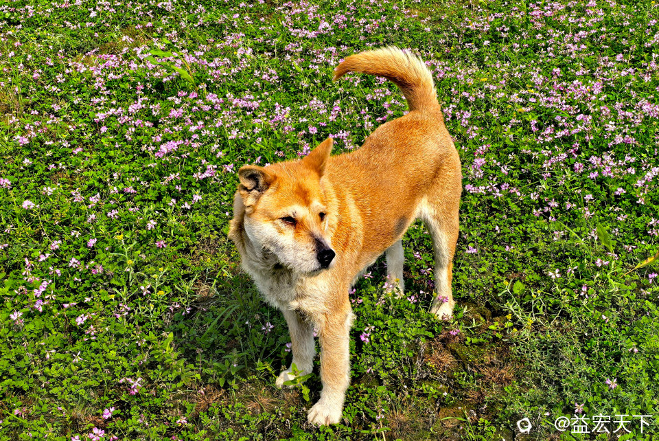 IMG_20250316_104658_edit_48792692507658.jpg