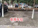 ������ ӣ�������� 1-3��� �ͳ�λ��ͣ5̨�� 228ƽ�� 259�� ��װ��