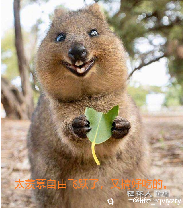 无标题3.png