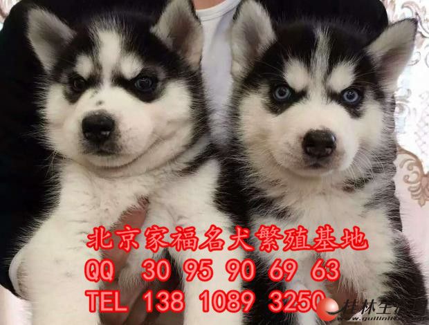 ���ֹ�ʿ�� ���ѻ�˫���۹�ʿ�� ����ǩЭ�鱣���� ���ͻ�����
